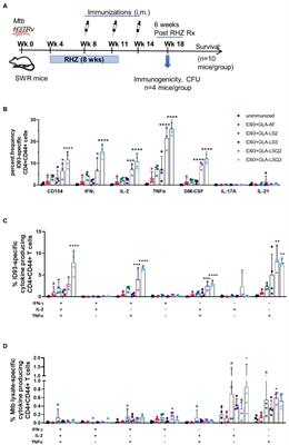 Therapeutic efficacy against Mycobacterium tuberculosis using ID93 and liposomal adjuvant formulations